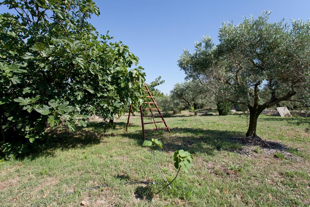 Mas Des Collines Bed and Breakfast Fontvieille Kamer foto